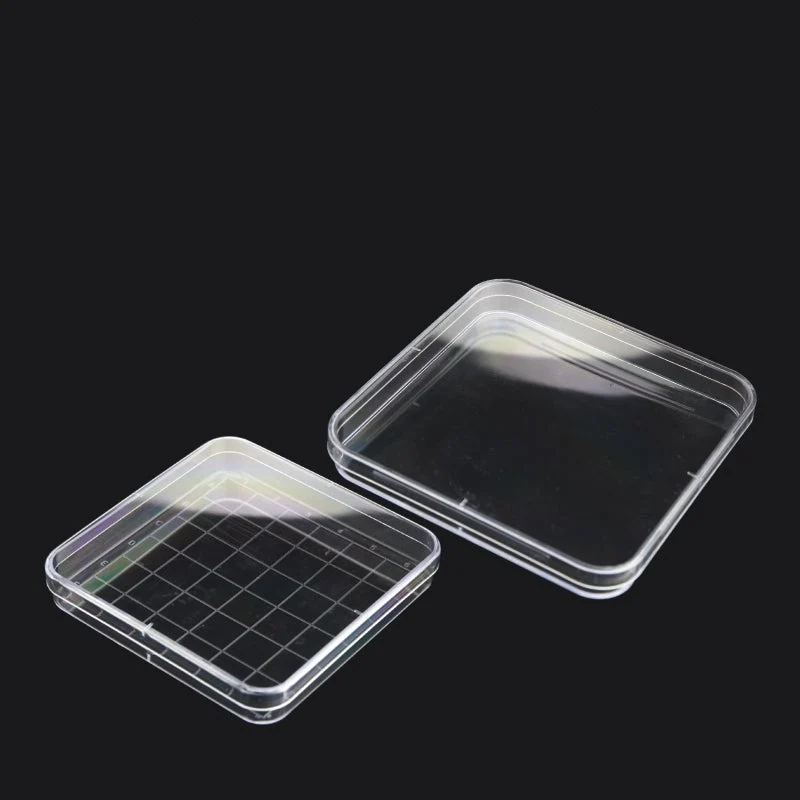 Petrischale quadratisch, Plastik PS, mit Gitternetz, 10 Stk/Pack