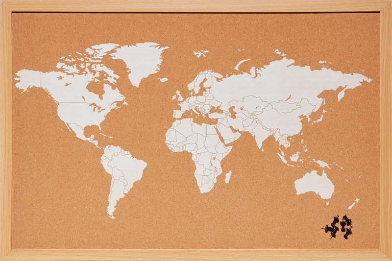 MAP Pinnwand