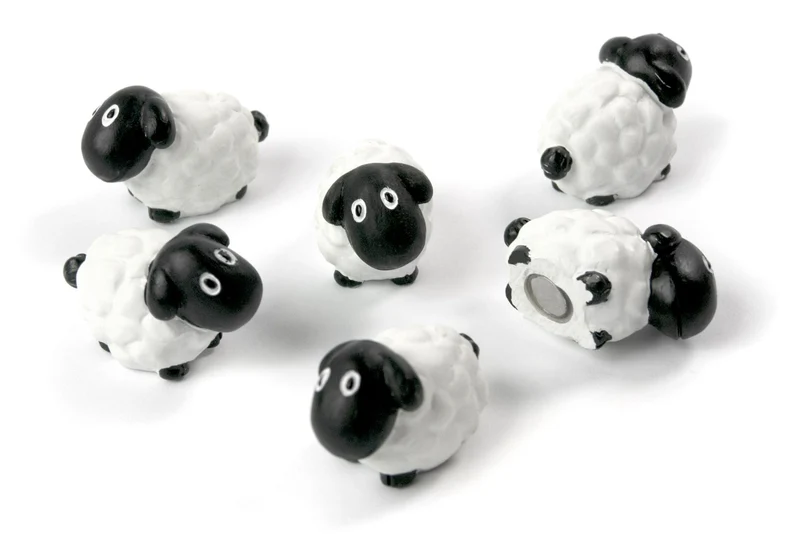 SHEEP Magnet